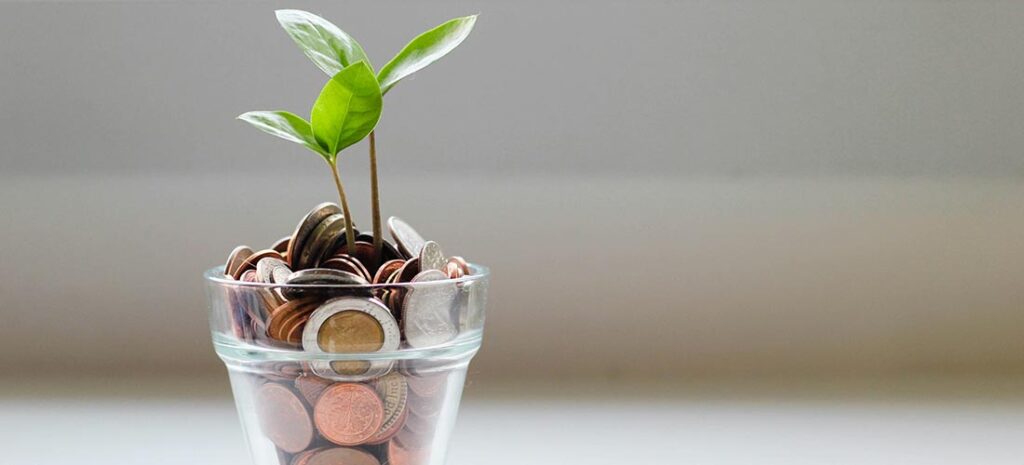 employee stock options